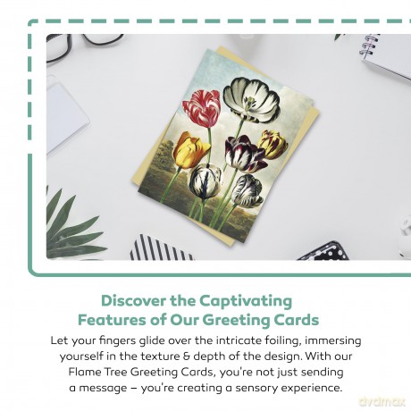 Annie Soudain: Summer I Greeting Card Pack: Pack of 6 (Greeting Cards) - Flame Tree Studio [KSIĄŻKA]