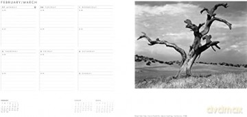 Ansel Adams 2023 Engagement Calendar: Authorized Edition: 12-Month Nature Photography Collection (Weekly Calendar and Planner) - Chris Carse Wilson [KSIĄŻKA]