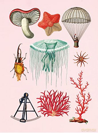 Antiquarian Sticker Book, The: Over 1,000 Exquisite Victorian Stickers - Odd Dot [KSIĄŻKA]