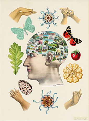 Antiquarian Sticker Book, The: Over 1,000 Exquisite Victorian Stickers - Odd Dot [KSIĄŻKA]