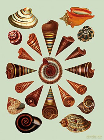 Antiquarian Sticker Book, The: Over 1,000 Exquisite Victorian Stickers - Odd Dot [KSIĄŻKA]