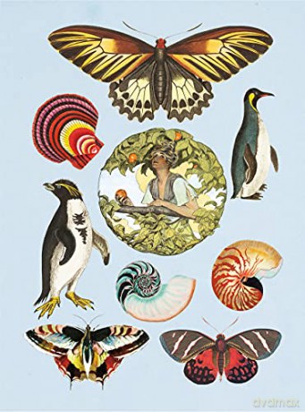 Antiquarian Sticker Book, The: Over 1,000 Exquisite Victorian Stickers - Odd Dot [KSIĄŻKA]