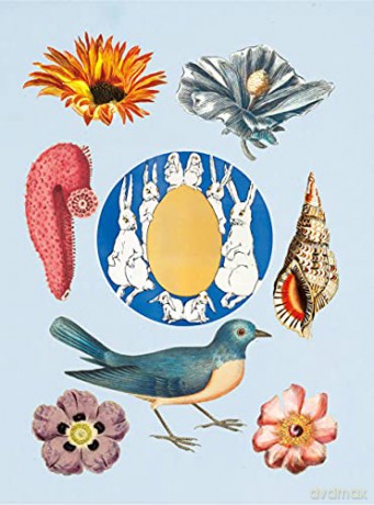 Antiquarian Sticker Book, The: Over 1,000 Exquisite Victorian Stickers - Odd Dot [KSIĄŻKA]