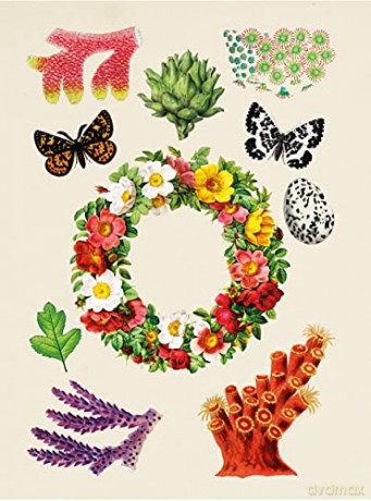 Antiquarian Sticker Book, The: Over 1,000 Exquisite Victorian Stickers - Odd Dot [KSIĄŻKA]