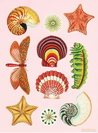 Antiquarian Sticker Book, The: Over 1,000 Exquisite Victorian Stickers - Odd Dot [KSIĄŻKA]