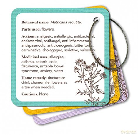 Apothecary Flashcards: A Reference Explaining Herbs and Their Medicinal Uses - Nicola McIntosh [KSIĄŻKA]