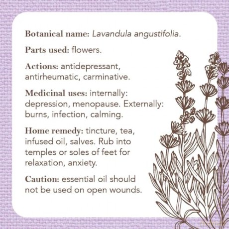 Apothecary Flashcards: A Reference Explaining Herbs and Their Medicinal Uses - Nicola McIntosh [KSIĄŻKA]