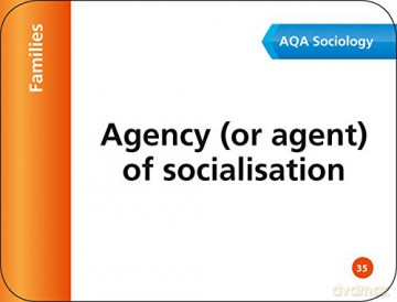 AQA GCSE 9-1 Sociology Revision Cards: Ideal for the 2024 and 2025 exams (Collins GCSE Grade 9-1 Revision) - Collins Gcse [KSIĄŻKA]