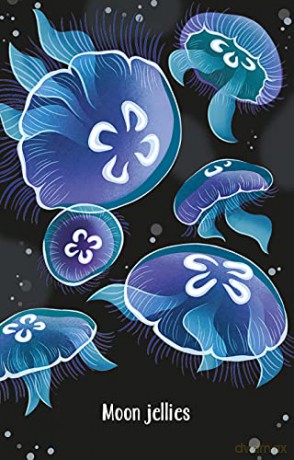 Aquarium Snap (Snap Cards) - Abigail Wheatley [KSIĄŻKA]