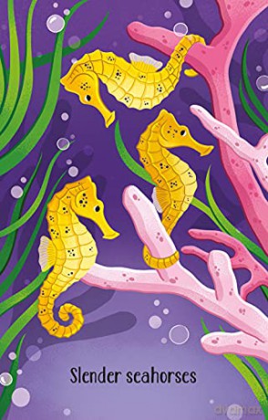 Aquarium Snap (Snap Cards) - Abigail Wheatley [KSIĄŻKA]