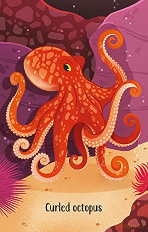 Aquarium Snap (Snap Cards) - Abigail Wheatley [KSIĄŻKA]