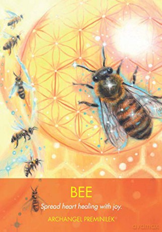 Archangel Animal Oracle Cards: A 44-Card Deck and Guidebook - Diana Cooper [KSIĄŻKA]