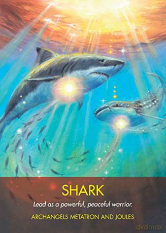 Archangel Animal Oracle Cards: A 44-Card Deck and Guidebook - Diana Cooper [KSIĄŻKA]