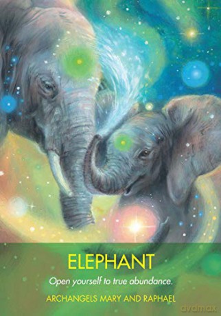 Archangel Animal Oracle Cards: A 44-Card Deck and Guidebook - Diana Cooper [KSIĄŻKA]
