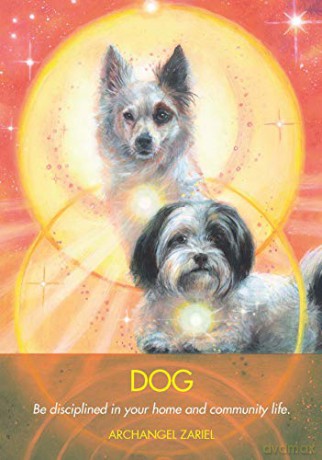 Archangel Animal Oracle Cards: A 44-Card Deck and Guidebook - Diana Cooper [KSIĄŻKA]