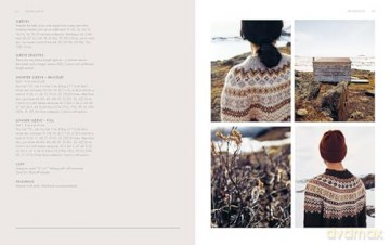 Arctic Knits: Sweaters, Socks, Accessories and More: Sweaters, Socks, Mittens and More: Jumpers, Socks, Mittens and More - Weichien Chan [KSIĄŻKA]