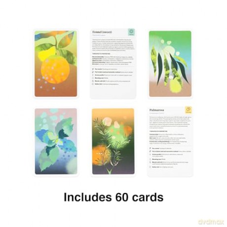 Aromatherapist in a Box: A Card Set of Therapeutic Essential Oils - Jo Kellett [KSIĄŻKA]