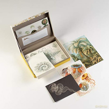 Art Forms in Nature: Letter Writing Set (Multilingual Edition) - Pepin Van Roojen [KSIĄŻKA]