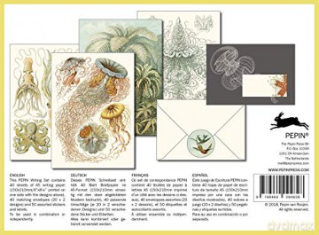 Art Forms in Nature: Letter Writing Set (Multilingual Edition) - Pepin Van Roojen [KSIĄŻKA]