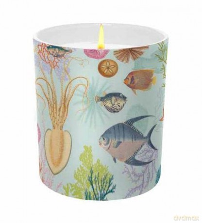 Art of Nature: Under the Sea Scented Glass Candle (Luminaries Gift) - Insight Editions [KSIĄŻKA]