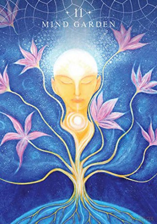 Ascension Oracle: Connect to your sacred light - Nari Anastarsia [KSIĄŻKA]