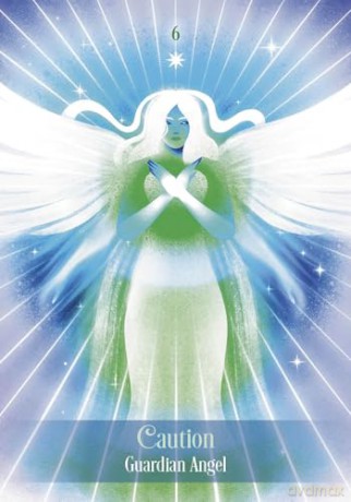 Ask Your Guides Oracle Cards: A 56-Card Deck and Guidebook - Sonia Choquette [KSIĄŻKA]