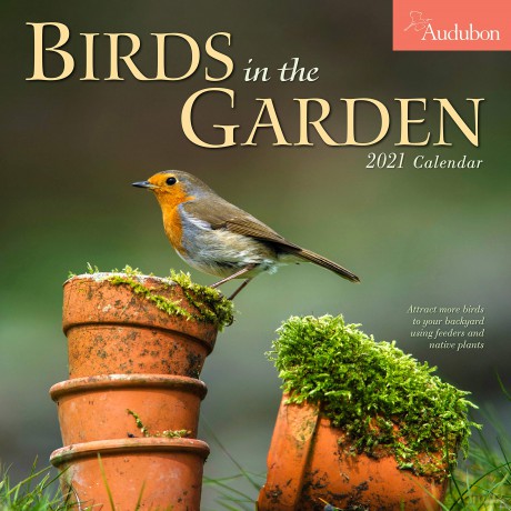 Audubon Birds in the Garden Wall Calendar 2021 - Workman Calendars [KALENDARZ]