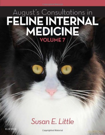 August's Consultations in Feline Internal Medicine, Volume 7, 1e - Honey Spencer [KSIĄŻKA]