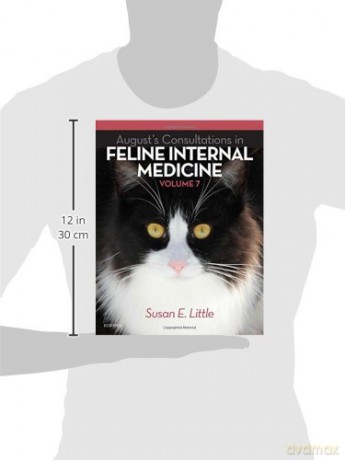 August's Consultations in Feline Internal Medicine, Volume 7, 1e - Honey Spencer [KSIĄŻKA]