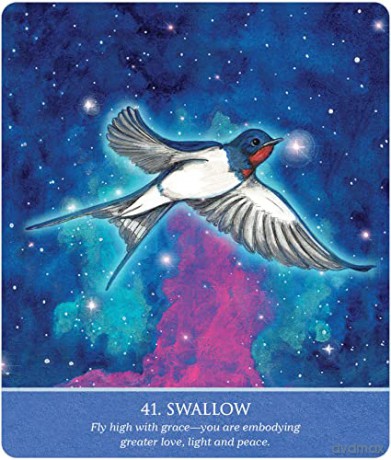 Auspicious Symbols for Luck and Healing Oracle Deck - Alison DeNicola [KSIĄŻKA]
