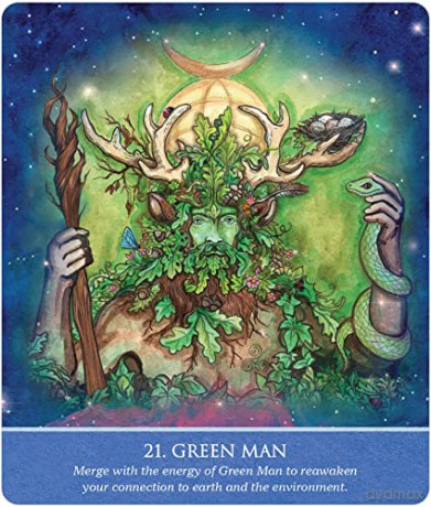 Auspicious Symbols for Luck and Healing Oracle Deck - Alison DeNicola [KSIĄŻKA]