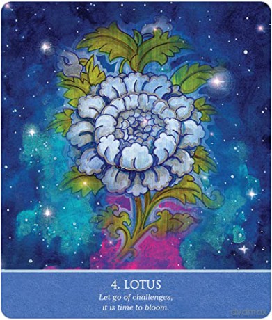 Auspicious Symbols for Luck and Healing Oracle Deck - Alison DeNicola [KSIĄŻKA]