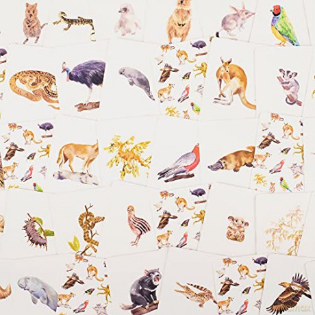 Aussie Animal Match: A Memory Game - Chris Humfrey [KSIĄŻKA]