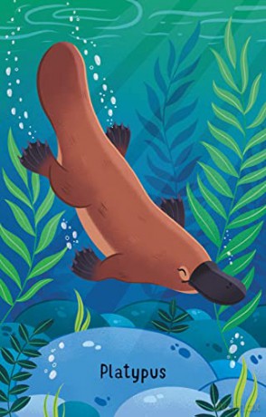 Australian Animal Snap (Snap Cards) - Abigail Wheatley [KSIĄŻKA]