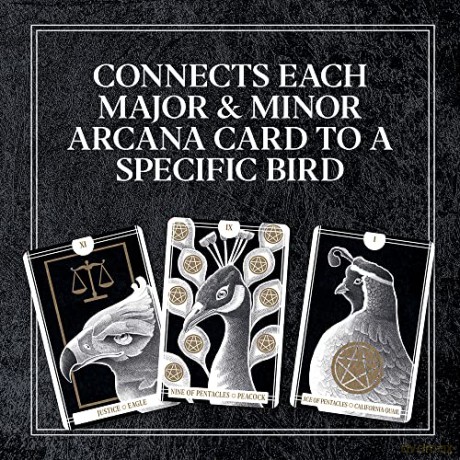 Avian Tarot - Brittany L. Batchelder [KSIĄŻKA]