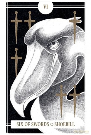 Avian Tarot - Brittany L. Batchelder [KSIĄŻKA]