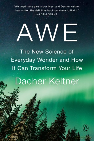 Awe: The New Science of Everyday Wonder and How It Can Transform Your Life - Dacher Keltner [KSIĄŻKA]