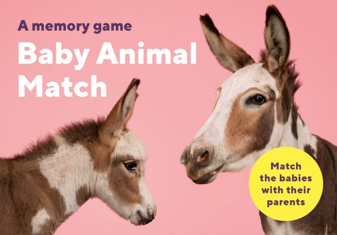 Baby Animal Match - Gerrard Gethings [KSIĄŻKA]