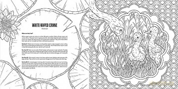 Baby Animals: A Smithsonian Coloring Book - Institution Smithsonian [KSIĄŻKA]