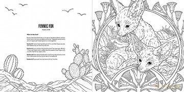 Baby Animals: A Smithsonian Coloring Book - Institution Smithsonian [KSIĄŻKA]