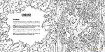 Baby Animals: A Smithsonian Coloring Book - Institution Smithsonian [KSIĄŻKA]