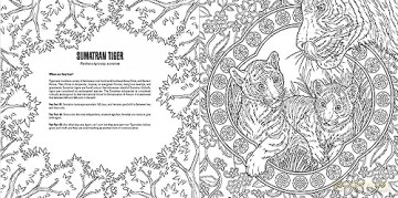 Baby Animals: A Smithsonian Coloring Book - Institution Smithsonian [KSIĄŻKA]
