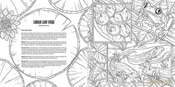 Baby Animals: A Smithsonian Coloring Book - Institution Smithsonian [KSIĄŻKA]