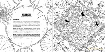 Baby Animals: A Smithsonian Coloring Book - Institution Smithsonian [KSIĄŻKA]