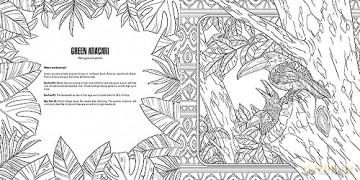 Baby Animals: A Smithsonian Coloring Book - Institution Smithsonian [KSIĄŻKA]
