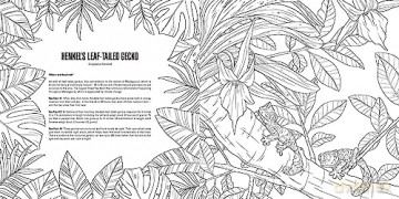 Baby Animals: A Smithsonian Coloring Book - Institution Smithsonian [KSIĄŻKA]