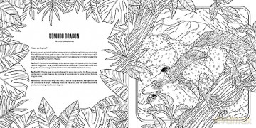 Baby Animals: A Smithsonian Coloring Book - Institution Smithsonian [KSIĄŻKA]