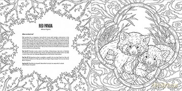 Baby Animals: A Smithsonian Coloring Book - Institution Smithsonian [KSIĄŻKA]