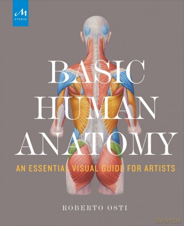 Basic Human Anatomy: An Essential Visual Guide for Artists - Roberto Osti [KSIĄŻKA]