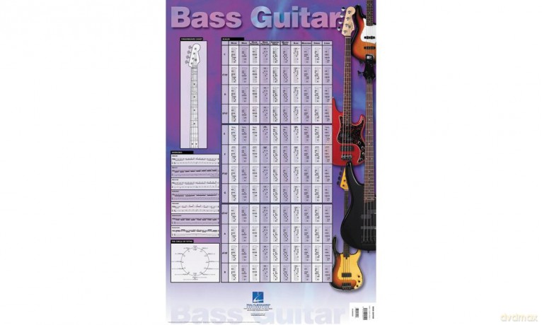 Bass Guitar Poster: 23 Inch. x 35 Inch. Poster - Divers Auteurs [KSIĄŻKA]